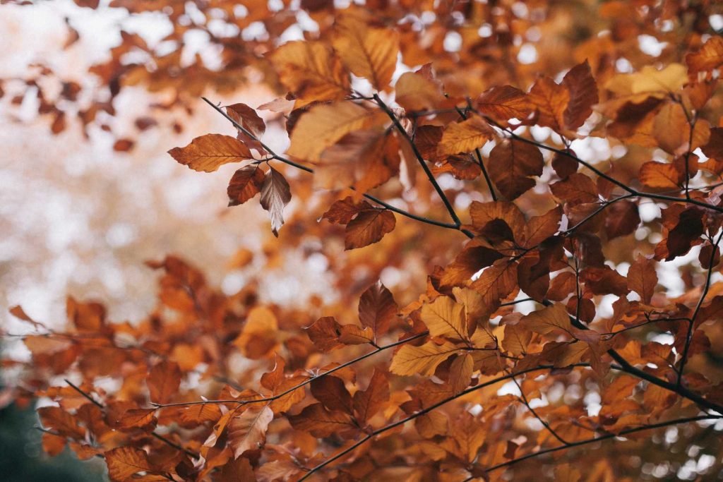 open enrollment, workplace benefits, 401k, group insurance