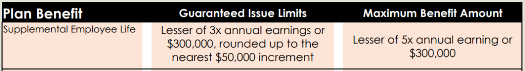 group term life insurance